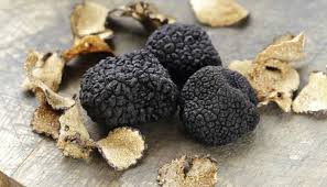 trüflü mantar